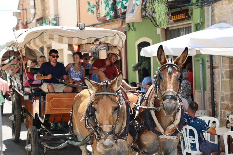 La presentació i l’entrada de la murta aporten l’ambient a l’arranc de les festes de Llíber La presentació i l’entrada de la murta aporten l’ambient a l’arranc de les festes de Llíber
